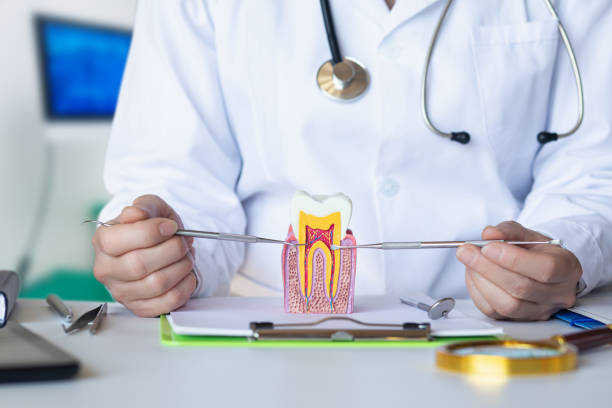 Best Emergency Denture Repair in Albany, TX